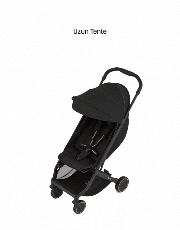 Anex Air-X² Kabin Boy Bebek Arabası