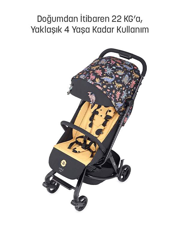 Anex Air-Z Kabin Boy Travel Sistem Bebek Arabası Seti
