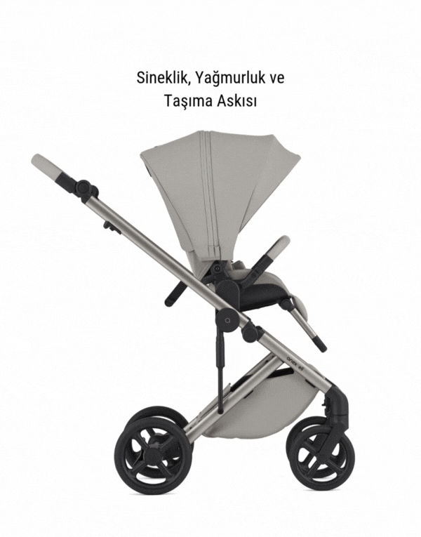 Anex Eli 2'si 1 Arada Set