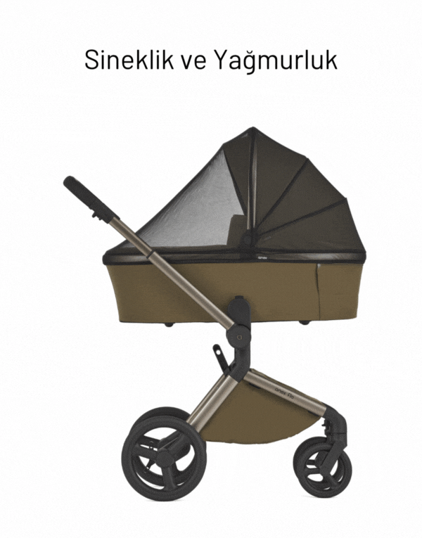 Anex Flo 3'ü Birarada Set Bebek Arabası