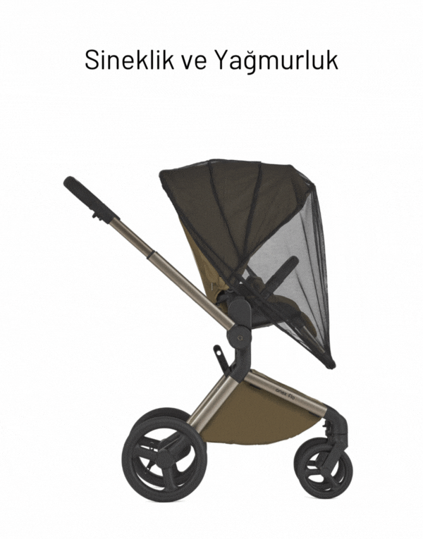 Anex Flo 3'ü Birarada Set Bebek Arabası