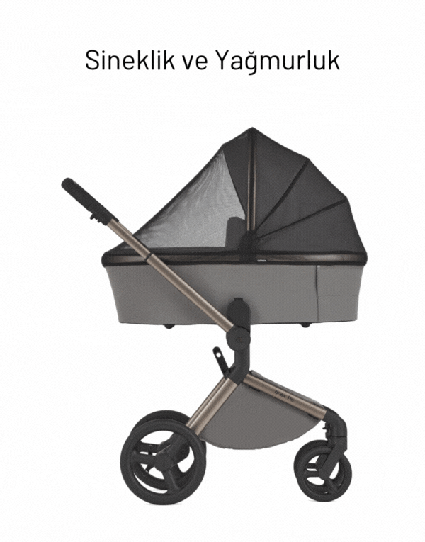 Anex Flo 3'ü Birarada Set Bebek Arabası