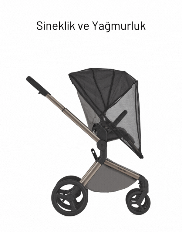 Anex Flo 2'si Bir Arada Set Bebek Arabası