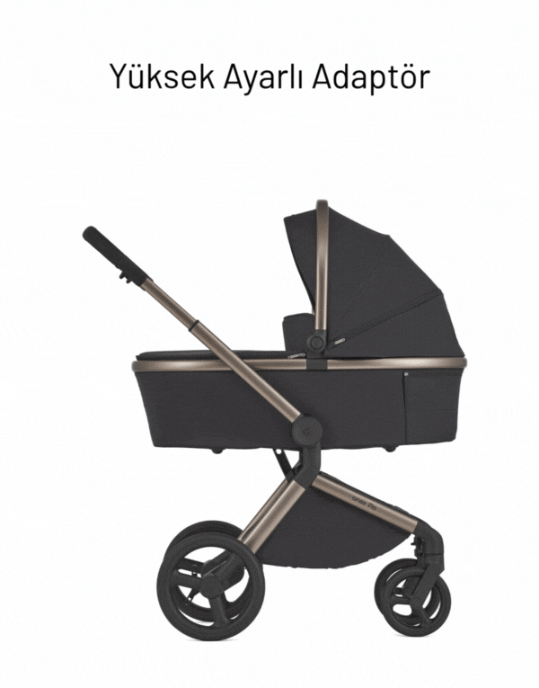 Anex Flo 3'ü Birarada Set Bebek Arabası