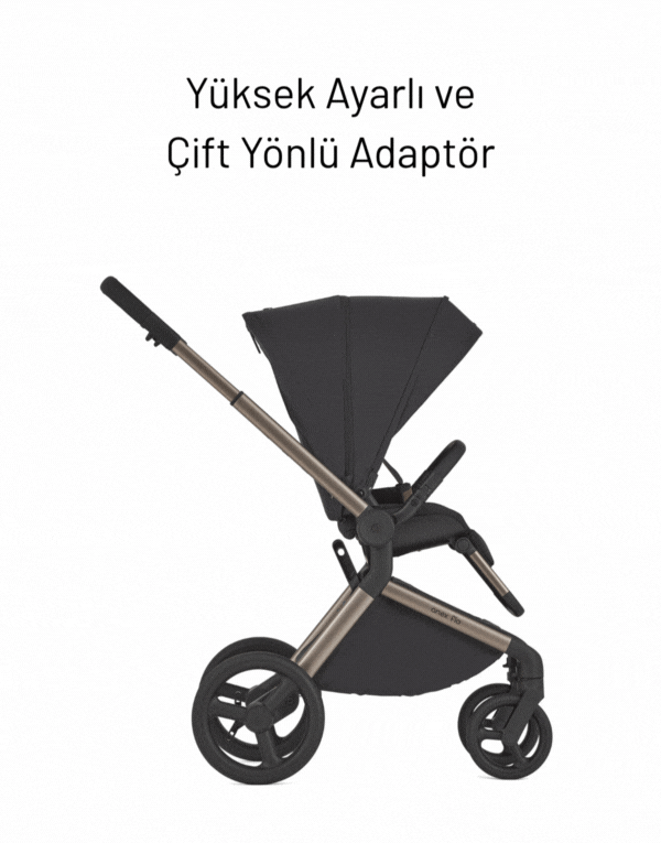 Anex Flo 3'ü Birarada Set Bebek Arabası
