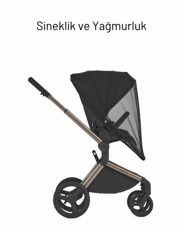 Anex Flo 3'ü Birarada Set Bebek Arabası