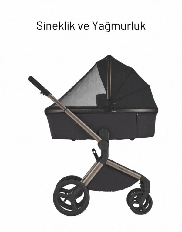 Anex Flo 2'si Bir Arada Set Bebek Arabası