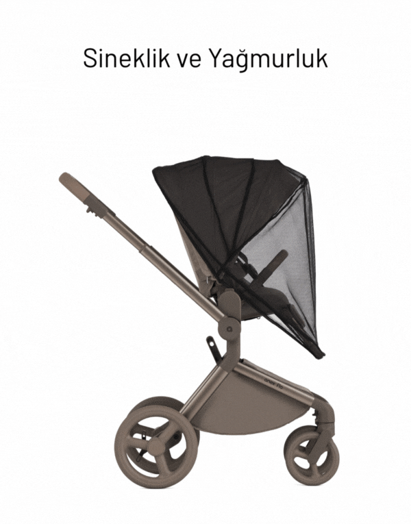 Anex Flo 3'ü Birarada Set Bebek Arabası
